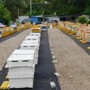 영덕농장 이미지