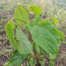 바산농장 이미지