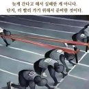 어반스토리 - 연수구 송도 | 어반스토리