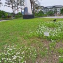 평화이용실 이미지