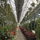 꽃내린영농조합법인 | 아산 세계꽃식물원, 실내 데이트 코스 추천, 입장료, 체험, 아산가볼만한곳!