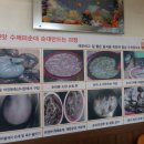 옛맛수제피순대 | 장안동 맛집 추천, 옛맛수제피순대 방문후기(ft.장안동 곱창전골)