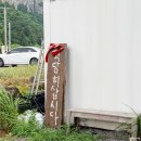 제주도 적당한게스트하우스 이미지