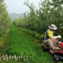 장암농장 이미지