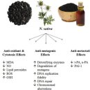 진보식품 이미지