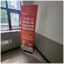 라라영어교습소