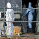 나주농장 이미지