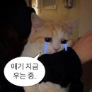 실내체육관뒤~아리랑고개 | 월드 오브 스우파 서울 콘서트 다녀오기 | 잠실 실내 체육관 2층 시야 후기