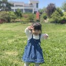 보람아그로 네이버블로그