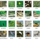 탄동천1 이미지