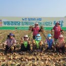 부안우체국 이미지