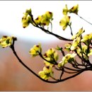 오륜대로 이미지