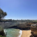 [호주 일상🇦🇺] 연말&amp;새해 동부 여행✈️ / 멜버른 그레이트 오션로드 / 헬기투어 후기, 투어 정보🚁✨