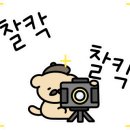 강민미트