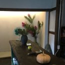 하나비하우스 이미지