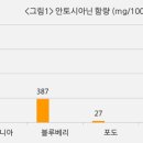 높은베리 이미지