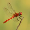 옛날세상 이미지