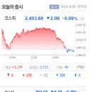 리드메디칼(주) 이미지