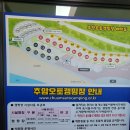 방아교~오토오아시스 앞(한방향) | [ 동해 캠핑 ] 추암 너를 추앙해 ❤️ [ 추암오토캠핑장 ]