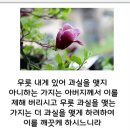 QT에 대해 경건의 시간 이미지