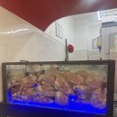 엔도르핀농장 | 공주대 근처 한우가 맛있었던 충남 공주 신관동 맛집 고기백화점 정육식당 방문 후기