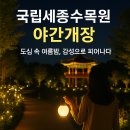 국립세종수목원 야간개장 후기｜도심 속 여름밤, 감성으로 피어나다