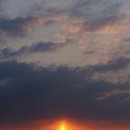 갈매기회집 이미지