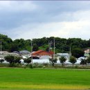 쌍정리 삼층석탑 이미지