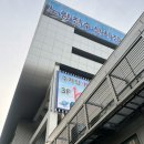 광주023 | 맛집] 부모님 모시고 가기 좋은 노량진 수산시장 초장집 하늘채광장 🦀대게 • 내돈내산 후기(🅿️주차 꿀팁)