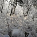 수봉공원 자연 학습원 눈축제 이미지