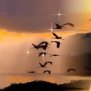 한빛 외국어번역 행정사사무소 이미지