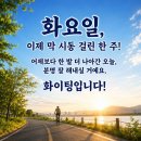 6월 23일(화) 4전 5기 신화의 '홍수환'과 그의 아내 가수 '옥희' 이야기 이미지