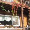 나무향기 차향기 이미지