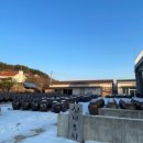 하미토미풀밭 이미지