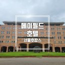 메이필드 호텔, 서울 호캉스 추천! 수영장/골프/맛집/카페 후기
