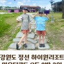 사북황기소곱창