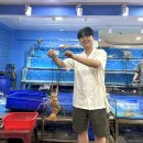 동건목장 | [베트남 나트랑여행 1일차 일정] 판랑사막투어, 양떼목장, 포롱자라이사원, RIS 파노라마호텔, 담시장...