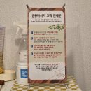 금룡 - 18009 | 의정부 금룡 마사지 후기 | 의정부커플마사지의정부가성비마사지 의정부손맛집