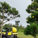 해비치관광호텔 | 제주 해비치호텔 방문 후기 🏩 | 제주 호텔 추천 | 제주 관광 이 글 하나로 끝내자 💚🏝️