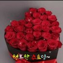 수요일 - 종로구 인사동길 36 | 수요일