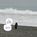 주식회사태인법률부동산중개 | 일본 워홀 | 집 계약시 하자에 대응 하는 법! | 계약파기, 초기비용 반환