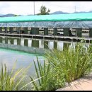 보물섬낚시터 이미지