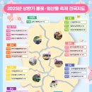 2025년 팔금 섬 유채꽃축제 | 벚꽃 언제 펴? 3월 말 시작...어디로 가야해?