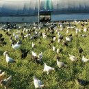 조제농장 이미지