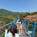 원주 소금산 그랜드밸리 후기(케이블카, 출렁/울렁다리)