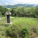 김흥근 선생 묘 이미지