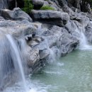 손택은 생각을 자라게 만든다 - 뉴욕타임스 이미지