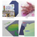 화일인쇄
