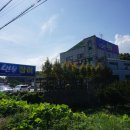 일미민물장어 이미지