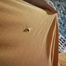 신비약토불가마찜질방 | [내돈내산리뷰] 월드컵경기장역 상암 “월드컵스파랜드24” 이용 후기(feat.비추,,)